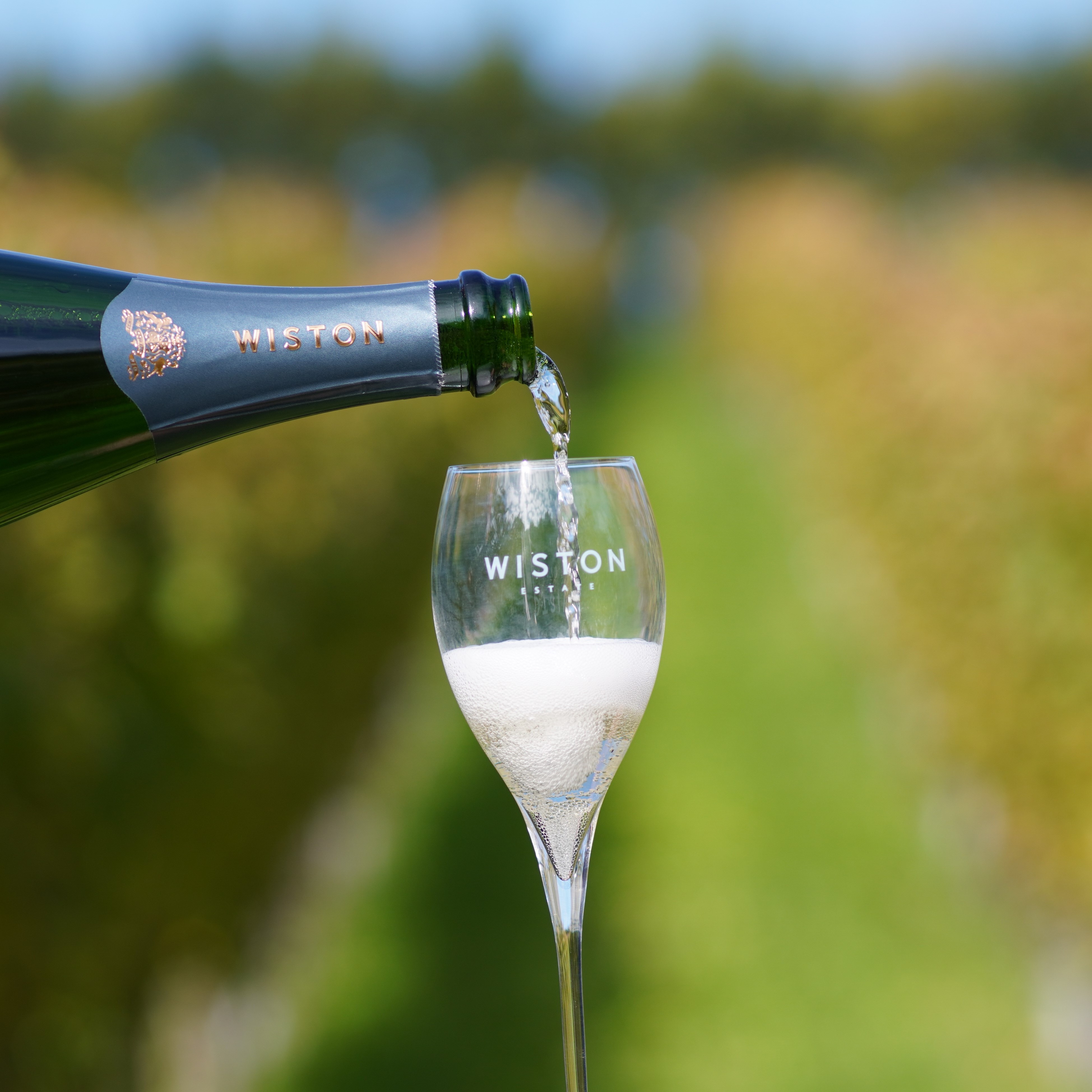 Image for Wiston Estate: Wines, Tours & Chalk